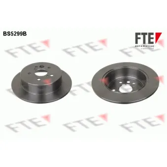 Jeu de 2 disques de frein arrière FTE OEM 4243142040