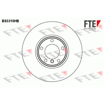 Jeu de 2 disques de frein avant FTE OEM 34116767059