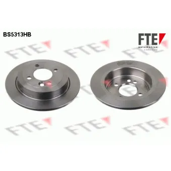 Jeu de 2 disques de frein arrière FTE OEM SDB101150
