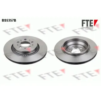 Jeu de 2 disques de frein arrière FTE OEM 8624926