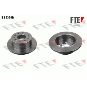 Jeu de 2 disques de frein arrière FTE OEM 4249K9