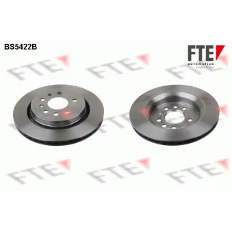 Jeu de 2 disques de frein arrière FTE OEM 9191336