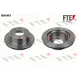 Jeu de 2 disques de frein arrière FTE [BS5463]