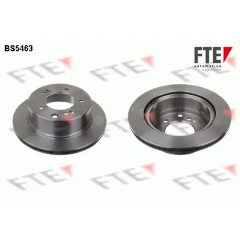 Jeu de 2 disques de frein arrière FTE OEM 584113E300