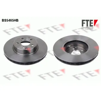 Jeu de 2 disques de frein avant FTE OEM 2114210912