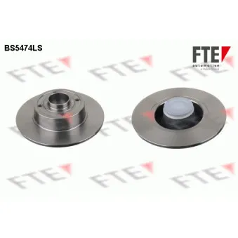 Jeu de 2 disques de frein arrière FTE OEM 8660001811