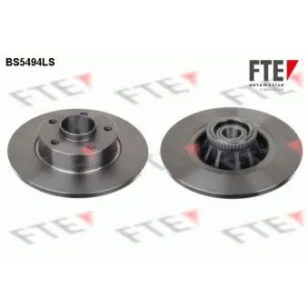 Jeu de 2 disques de frein arrière FTE OEM 4320600QAE