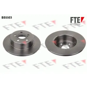 Jeu de 2 disques de frein arrière FTE OEM 4243105040