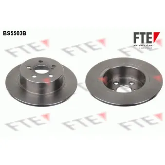 Jeu de 2 disques de frein arrière FTE OEM 4243105040