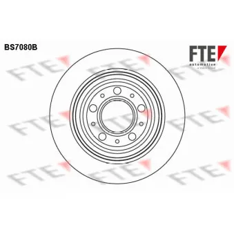 Jeu de 2 disques de frein arrière FTE OEM 272429