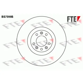 Jeu de 2 disques de frein avant FTE BS7099B pour CITROEN C5 2.2 HDi 165 - 163cv