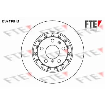 Jeu de 2 disques de frein arrière FTE OEM 3D0615601D