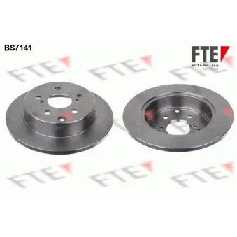 Jeu de 2 disques de frein arrière FTE OEM 4243142060