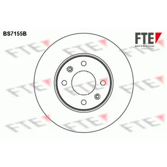 Jeu de 2 disques de frein avant FTE OEM 517121G000