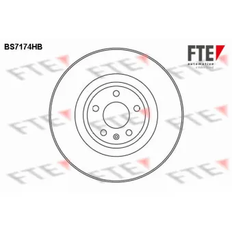Jeu de 2 disques de frein avant FTE OEM 4F0615301G