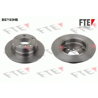 Jeu de 2 disques de frein arrière FTE OEM 34216794306