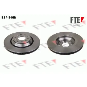 FTE BS7184HB - Jeu de 2 disques de frein arrière