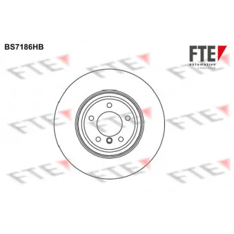 Jeu de 2 disques de frein avant FTE OEM 34116855000