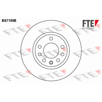 Jeu de 2 disques de frein avant FTE OEM 93188919