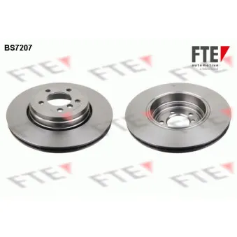 Jeu de 2 disques de frein arrière FTE OEM 34211166129