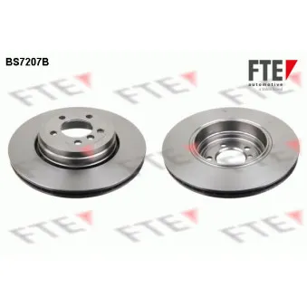 Jeu de 2 disques de frein arrière FTE OEM 34211166129