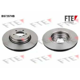Jeu de 2 disques de frein arrière FTE OEM 34211166129
