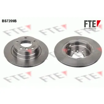 Jeu de 2 disques de frein arrière FTE OEM 34214031725