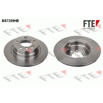 Jeu de 2 disques de frein arrière FTE OEM 34214031725