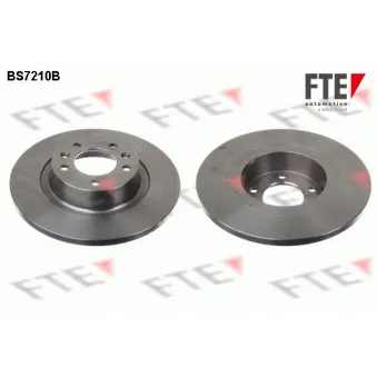 Jeu de 2 disques de frein arrière FTE OEM 424922
