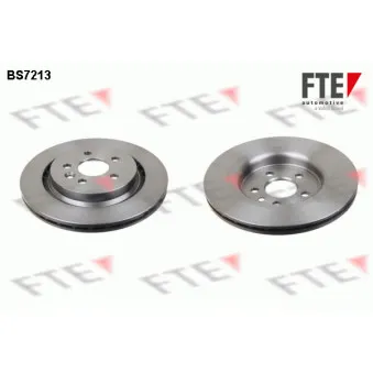 Jeu de 2 disques de frein arrière FTE OEM 31341483