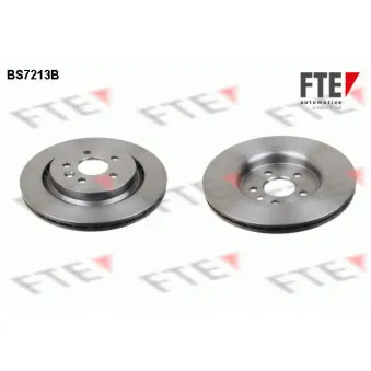 FTE BS7213B - Jeu de 2 disques de frein arrière