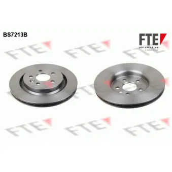 Jeu de 2 disques de frein arrière FTE OEM 31341483