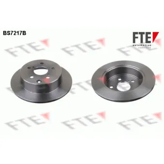 Jeu de 2 disques de frein arrière FTE OEM 4243105050