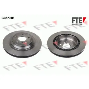 Jeu de 2 disques de frein arrière FTE OEM 2214231012