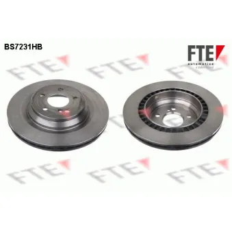 Jeu de 2 disques de frein arrière FTE OEM 2214231012