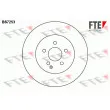 FTE BS7253 - Jeu de 2 disques de frein avant