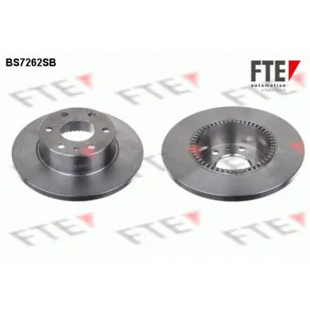 Jeu de 2 disques de frein arrière FTE OEM 2996027