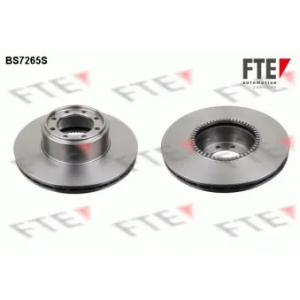 Jeu de 2 disques de frein arrière FTE OEM 2996043
