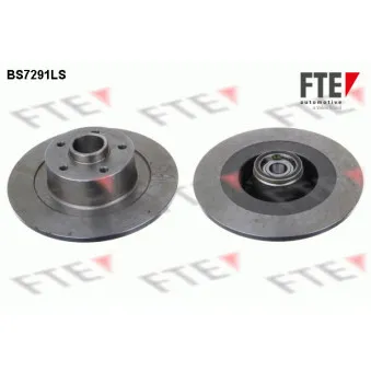 Jeu de 2 disques de frein arrière FTE OEM 402020005R
