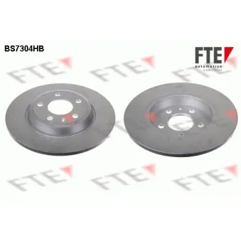 Jeu de 2 disques de frein arrière FTE OEM 8K0615601B