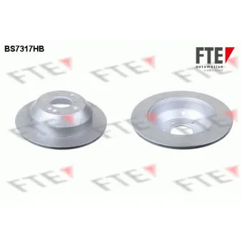 FTE BS7317HB - Jeu de 2 disques de frein arrière