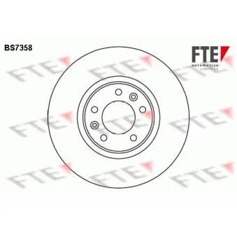 Jeu de 2 disques de frein arrière FTE OEM 424911