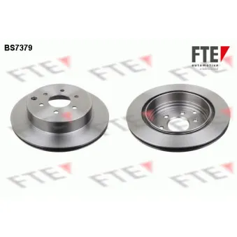 Jeu de 2 disques de frein arrière FTE OEM 43206EB300