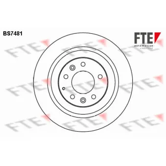 FTE BS7481 - Jeu de 2 disques de frein arrière