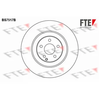 FTE BS7517B - Jeu de 2 disques de frein avant