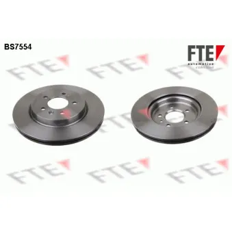 Jeu de 2 disques de frein arrière FTE OEM 13502866