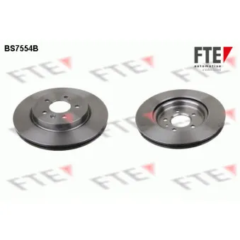 Jeu de 2 disques de frein arrière FTE OEM 13586855