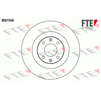 Jeu de 2 disques de frein avant FTE OEM 4249G8