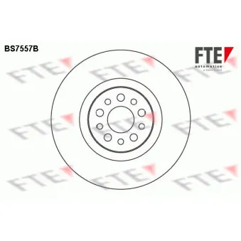Jeu de 2 disques de frein avant FTE OEM 4246Z7