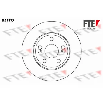Jeu de 2 disques de frein arrière FTE OEM 7701205846